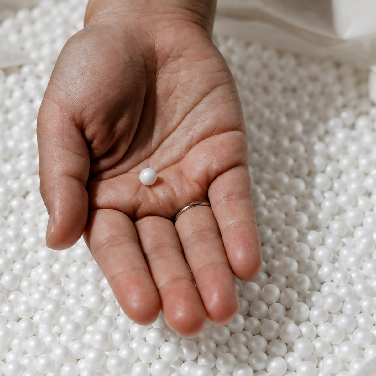 A single Fill Co White bean on a palm, above a liner full of White beans