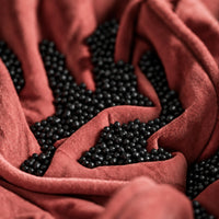 Fill Co Black beans in the folds of a clay-red cover